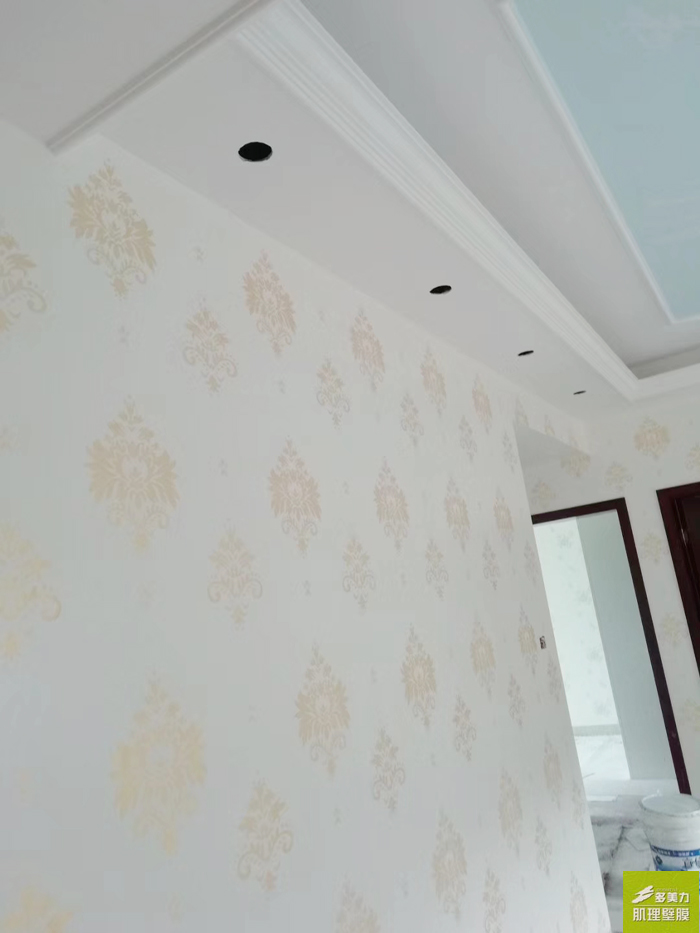 ������Ĥʩ������