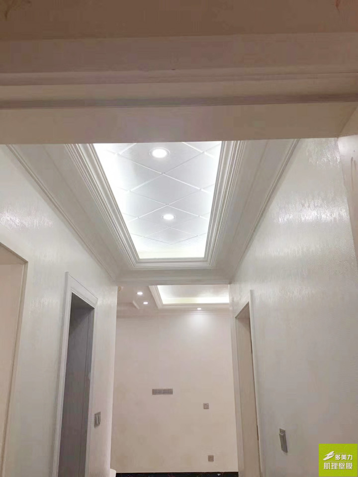 ������Ĥʩ������